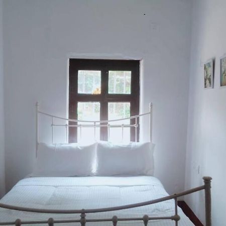 A Quaint Cottage With Rajah'S Seat View. Madikeri Exterior foto
