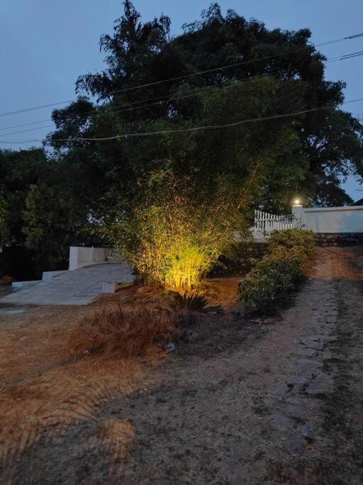 A Quaint Cottage With Rajah'S Seat View. Madikeri Exterior foto