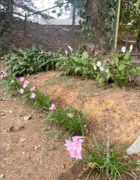 A Quaint Cottage With Rajah'S Seat View. Madikeri Exterior foto